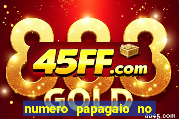 numero papagaio no jogo do bicho